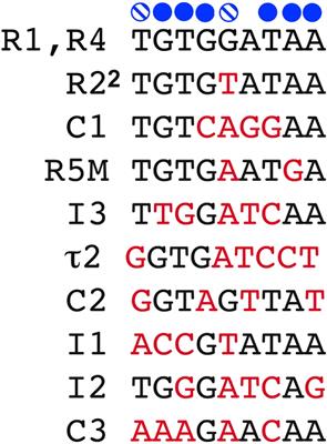 Changing Perspectives on the Role of DnaA-ATP in Orisome Function and Timing Regulation